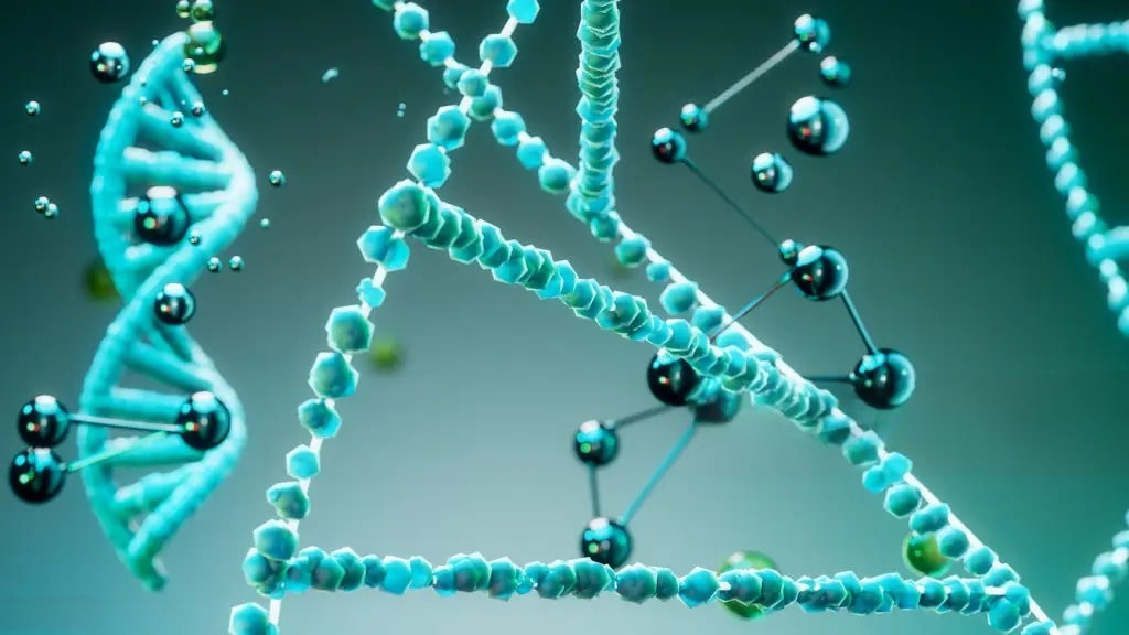 Bioaktive Kollagen Peptide