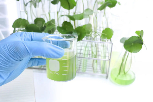 Biotechnologisch erzeugtes Kollagen