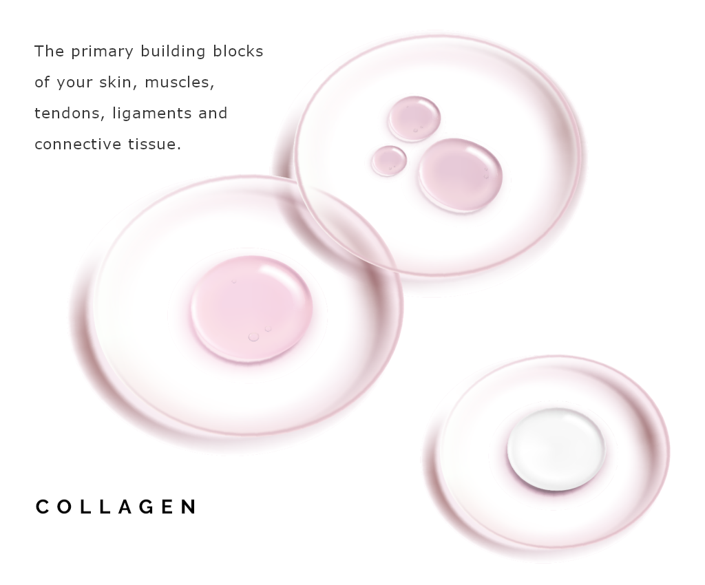 Kollagen illustrativ