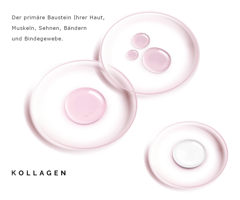 Kollagen illustrativ