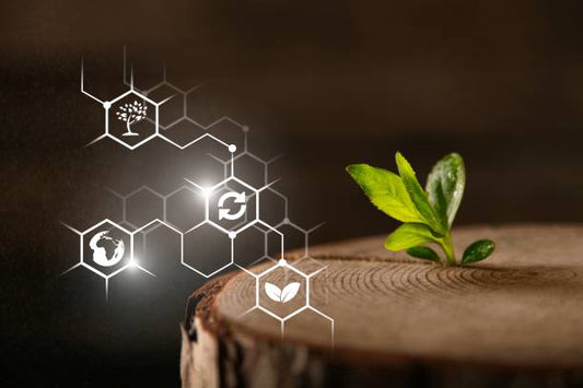 Bioverfügbarkeit und Nutzen von Kollagen