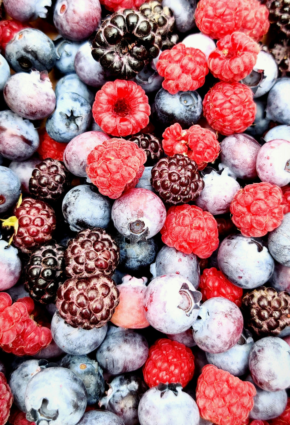 Beeren