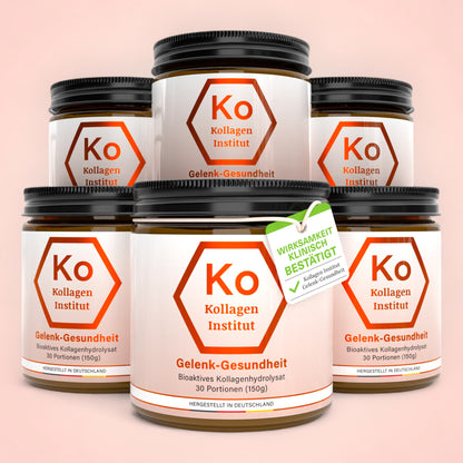 6 x Poudre de complexe de collagène pour les articulations et le cartilage