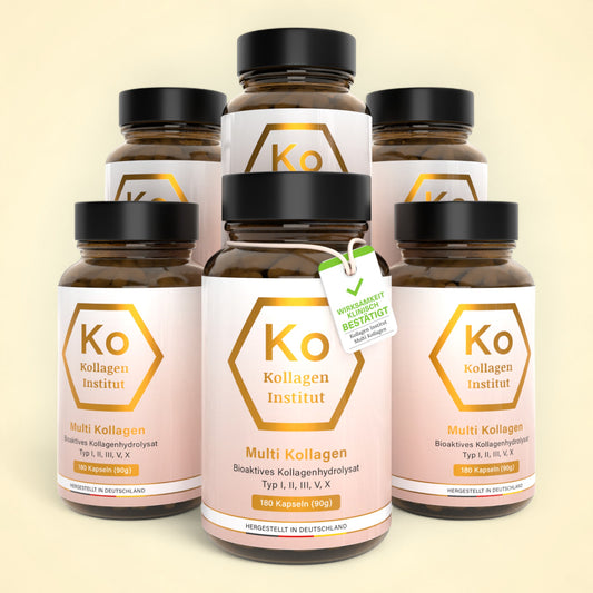 6 x Multi Kollagen Kapseln - Typ I, II, III, V, X