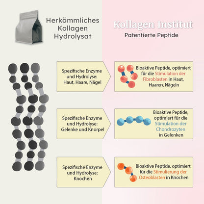 Kollagen Institut patentierte Peptide Unterschiede