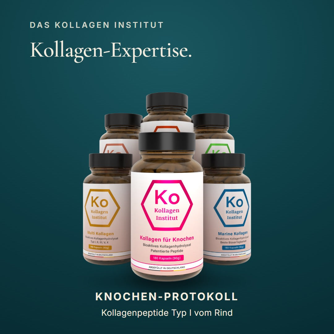 Kollagen Institut Knochen-Protokoll: Kollagen Typ I vom Rind