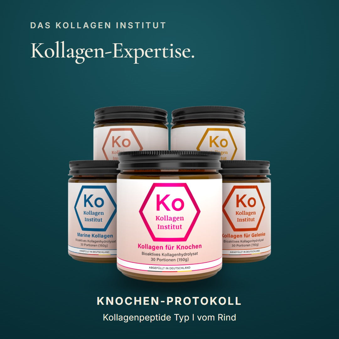 Kollagen Institut Knochen-Protokoll: Kollagen Typ I vom Rind