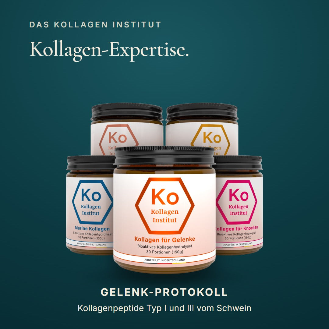 Kollagen Institut Gelenk-Protokoll: Kollagen Typ I und III vom Schwein