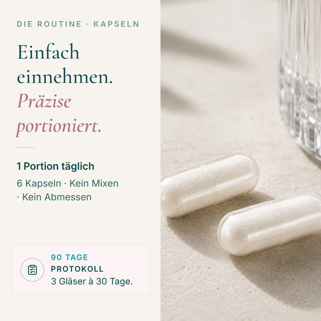 Die Routine: 6 Kapseln täglich – 90-Tage-Protokoll: 3 Gläser à 30 Tage