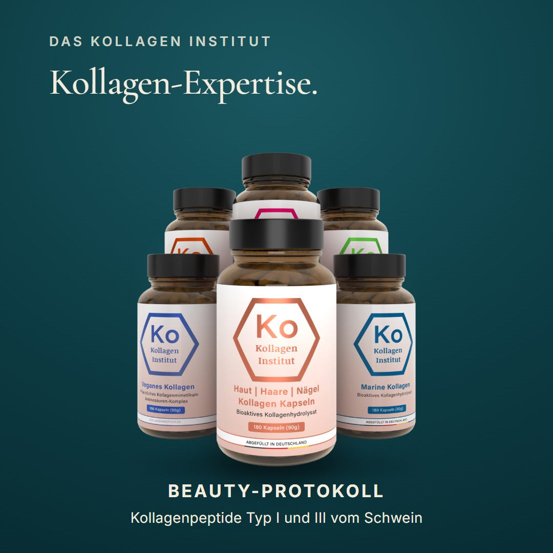 Kollagen Institut Beauty-Protokoll: Kollagen Typ I und III vom Schwein