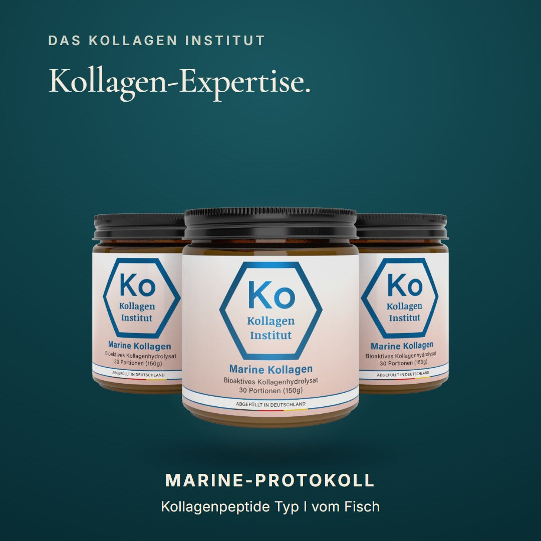 Kollagen Institut Marine-Protokoll: Kollagen Typ I vom Fisch