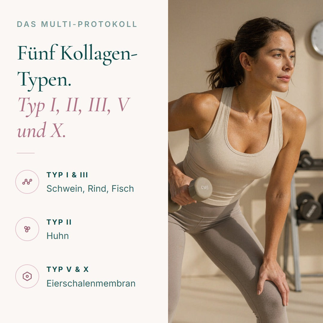 Kollagen Typ I, II, III, V und X aus Schwein, Rind, Fisch, Huhn und Eierschalenmembran, geschmacksneutral