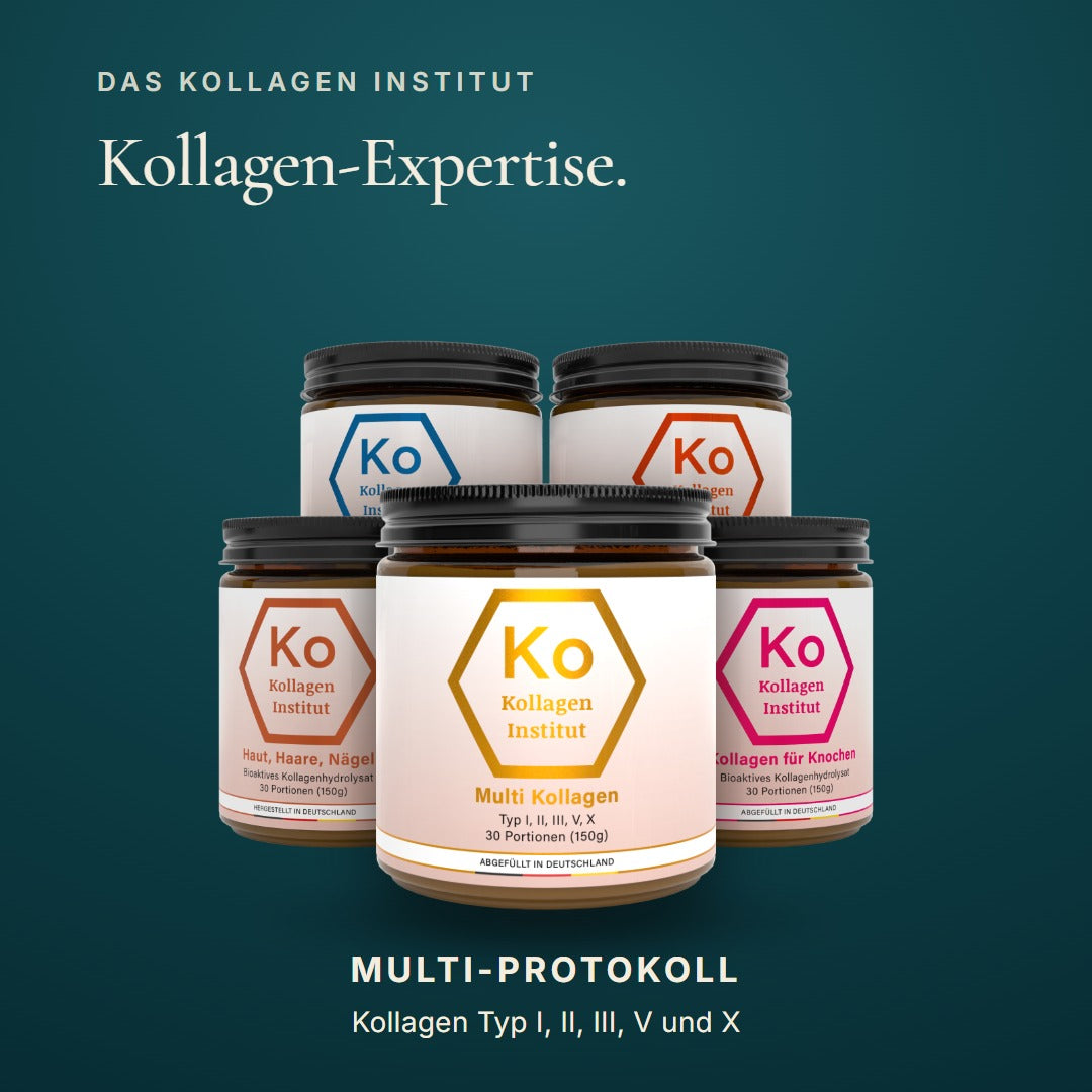 Kollagen Institut Multi-Protokoll: Kollagen Typ I, II, III, V und X aus Schwein, Rind, Fisch, Huhn und Eierschalenmembran